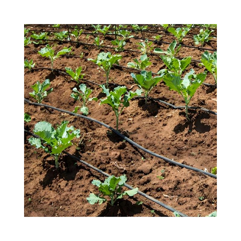 Agricultural Greenhouse Irrigation Equipment for Water