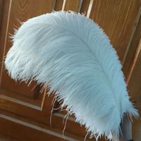 Plumes d'autruche d'Afrique du Sud 45-50 cm, véritables plumes orange, pour décoration artistique, carnaval, grand décor, plumes de chapellerie, décoration de mariage, en gros