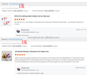 Lila-Blaues Einziehbares Lustiges Haustier-Spielzeug Holzstab Feenhafter Interaktiver Neckstab Indoor-Hühnerfedern-Spielzeug für Katzenspiele - Product Image 6