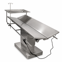 Table d'opération vétérinaire électrique en acier inoxydable 304 en forme de V, table chirurgicale pour animaux de compagnie avec contrôle de la température pour clinique vétérinaire