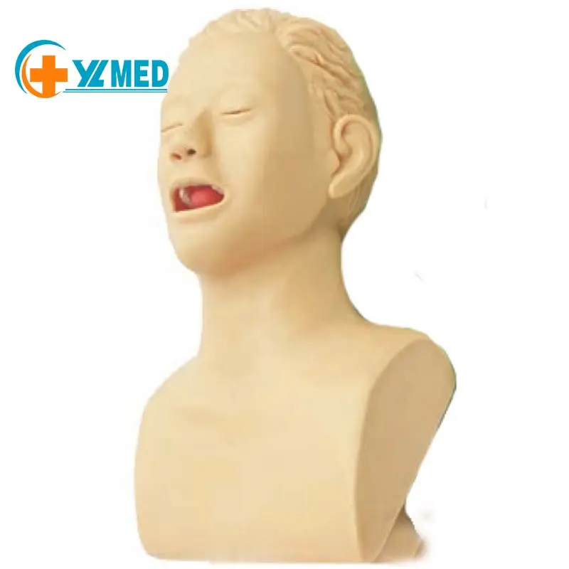 Throat examination Operation model manufacturers supply medical human throat examination simulators