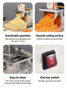 Cortadora de Verduras Motorizada de 220V de Fácil Operación para Hogares de Ancianos y Residencias de Retiro - Product Image 6