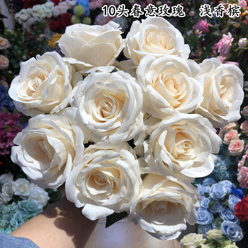 10 têtes printemps rose champagne clair