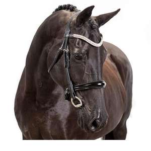 Bridon en cuir durable pour cheval, réglable, ajustement confortable, quincaillerie robuste, équipement d'équitation, plusieurs tailles - Product Image 4