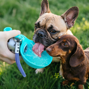 อุปกรณ์สำหรับสัตว์เลี้ยง: ที่จ่ายน้ำแบบพกพาสำหรับสุนัขที่ต้องออกไปข้างนอก ตะขอสแตนเลส 304, ที่จ่ายน้ำแบบพับได้ทรงกลม - Product Image 1