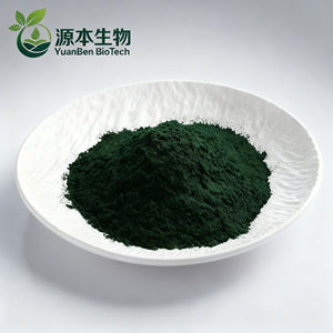 Pó de <span class=keywords><strong>Spirulina</strong></span> Premium de Grau Alimentício Maravilhoso, Alta Qualidade, Alta Pureza, 100% Natural, Cultivado Artificialmente - Product Image 2