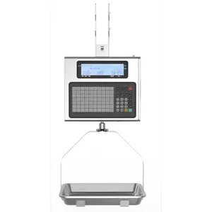 Yüksek kalite Mini dijital vinçli tartar bagaj balıkçılık denge cep tartı plaka asılı vinç elektronik terazi