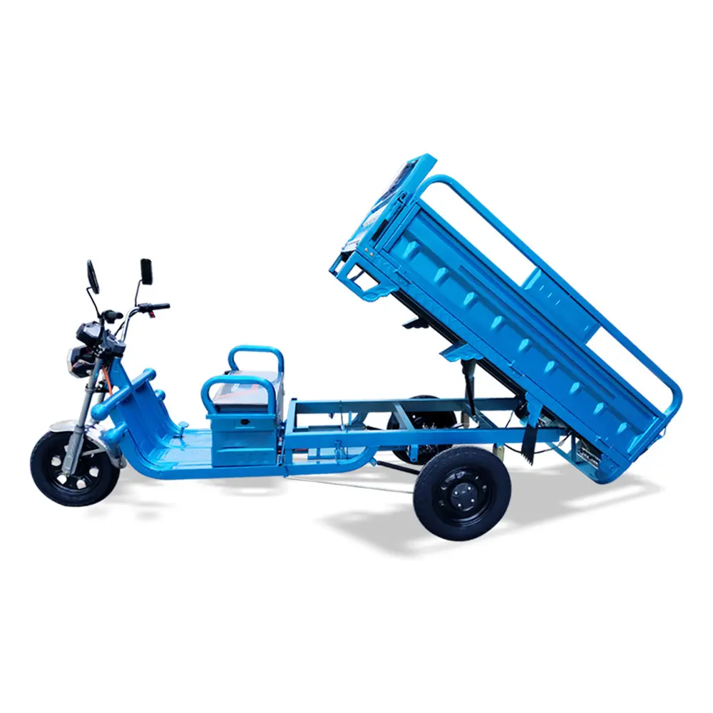 2024 Most Popular Three Wheeled Vehicle Mini Dumper Cargo Truck Electric Motorcycle Tricycles for Sale