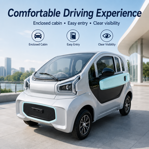 Auto Elettrica Mini a 4 Ruote a Prezzo Conveniente, Veicolo Urbano per Adulti a Bassa Velocità in Vendita - Product Image 2