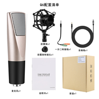 Microphone à Condensateur Portable de Studio avec Suspension Antichoc, Directivité Cardioïde, Haute Fidélité 20Hz-20kHz, Construction Métallique