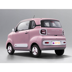 奔腾小马滑板车222千米微型纯电动汽车新能源汽车中国制造 - Product Image 4