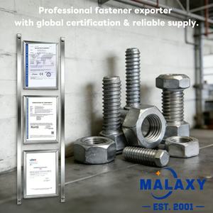 MALAXY- Pernos de Titanio de Alta Calidad para Modificación de Motocicletas - Product Image 5