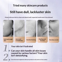 Vaporisateur facial de bureau en plastique Taidong, pulvérisation thermique, écran LCD, brume en 10 secondes pour le visage, le corps, les yeux, chauffage électrique, beauté