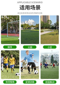 Factory Direct High Quality Portable Pickleball <b>Net</b> Set All Weather Training Metal <b>Plastic</b> Frame PE <b>Net</b> Eco-Friendly Durable - Product Image 2