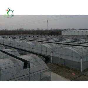 Invernadero comercial multifuncional <span class=keywords><strong>de</strong></span> plástico para agricultura, túnel multiusos <span class=keywords><strong>de</strong></span> plástico hidropónico <span class=keywords><strong>de</strong></span> <span class=keywords><strong>fresa</strong></span>, gran tamaño - Product Image 5