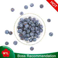 Harga Ekspor BRC/HACCP/SEDEX Blueberry Beku IQF dalam Jumlah Besar Buah Beku untuk Jus Selai