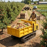 Mini-transporteur à chenilles en caoutchouc de 1,2 tonne avec moteur diesel, pompe hydraulique, benne basculante pour l'agriculture et la construction