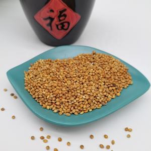 <span class=keywords><strong>Millet</strong></span> perlé hybride de qualité supérieure, jaune, blanc, rouge, doré, en gros, fourni par l'usine - Product Image 5