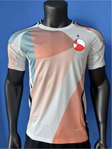 Camiseta de Fútbol Femenina Española 2526, Uniforme de Visitante para la Copa de Europa, Uniforme de Partido, Camiseta de Fútbol de Manga Corta, Uniforme de Entrenamiento - Product Image 1
