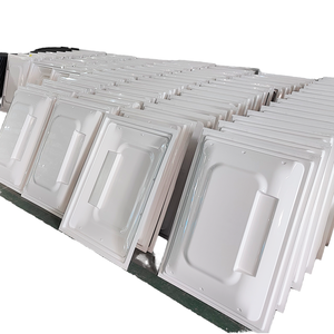 لوحة باب مركبات الترفيه (RV) كبيرة مخصصة من البلاستيك ABS/HDPE المشكل بالتفريغ الحراري مع قولبة بالحقن - ماركة قوانغدونغ - Product Image 1