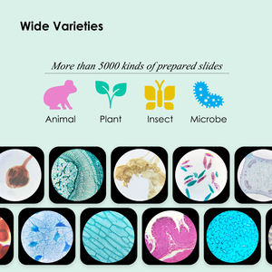 उच्च गुणवत्ता वाले विज्ञान शिक्षण अनुसंधान संयंत्र जड़ों/उपस्भाग/बीज तैयार वनस्पति विज्ञान माइक्रोस्कोप स्लाइड - Product Image 3