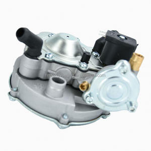 <span class=keywords><strong>NGV</strong></span>車減圧装置GLPガスレギュレーターLPGガスレギュレーター変換キットAT07高圧ガスLPG減圧装置 - Product Image 3