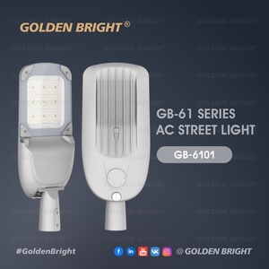 Lámpara LED de Calle de Alta Potencia AC, 60W, Diseño de Ala de Murciélago, Distribución de Luz Dorada Brillante - Product Image 1