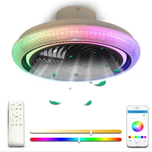 Graffiti Dazzle Ceiling Fan Light Dimmable LED Silent Fan light Enclosed Smart fan light with Bluetooth music