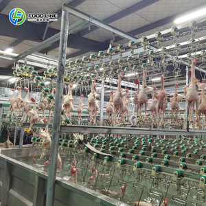 Năng lượng hiệu quả làm giảm chi phí hoạt động dài hạn gà giết mổ dòng - Product Image 5