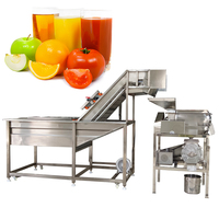 Automatische Industriële Vruchtensap Extractor Concentraat Machine Pulp Fruit Mango Sap Verwerkingsfabriek Te Koop