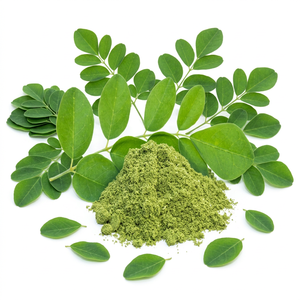 Top Quality Moringa Leaf Powder Suppliers at Best Price - Product Image 1