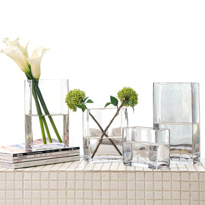 Modern Transparent Hydroponic Glass <b>Vase</b> Wide-mouth Glass Decorative <b>Vase</b> - Product Image 2