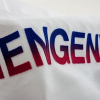 Velours Vinyle Flocage Transfert de Chaleur PVC Logo Impression Autocollant Patchs pour T-shirts et Fabrication de Bijoux Chenille