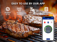 Thermomètre à viande numérique Bluetooth avec sonde en acier inoxydable, étanche IP68, lecture rapide pour la cuisine à domicile et la cuisson au barbecue
