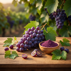 Fournisseur d'extrait de raisin noir en poudre, fabricant en gros d'extrait de raisin de haute pureté - Product Image 1