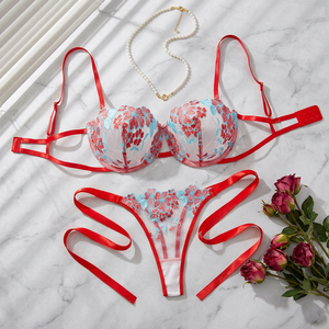Women's Floral Embroidery Sheer Mesh <b>Bra</b> and Tie Side Thong <b>Set</b> Underwire Lace Womens Intimates French Style <b>Sexy</b> Underwear <b>Set</b> - Product Image 2