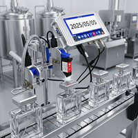 Haute vitesse continue en ligne Tij imprimante Portable Logo Machine d'impression bande transporteuse pour bouteille en verre Pcb petite entreprise