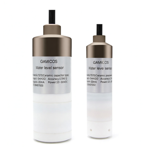 Transducteur de niveau submersible GLT570 Liquide corrosif Capteur de niveau PTFE - Product Image 4