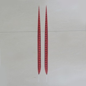 Đen Plumas Dài Đuôi Nhân Tạo Ngựa Vằn Lady Amherst Gà lôi Lông Cho Đảng Lễ Hội Nhà Kỳ Nghỉ Trang Trí Nội Thất Tự Làm Thủ Công Trang Phục - Product Image 5