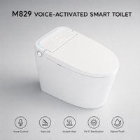 WC intelligent en céramique moderne certifié CE avec télécommande, désodorisation automatique, fixation au sol, drainage en P ou en S