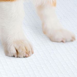 Fournisseur de tapis absorbants pour chiens, imperméables et jetables, pour l'apprentissage de la propreté des chiots - Product Image 2
