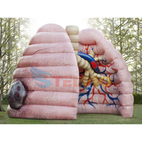 Poumons gonflables malades modèle poumon gonflable pour l'éducation médicale modèle de poumon gonflable accessoires d'organe humain