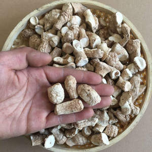 Grosir batang jamur <span class=keywords><strong>Shiitake</strong></span> kering Premium langsung dipanen dari sumber buatan Tiongkok - Product Image 4