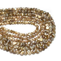 Perles en vrac naturelles irrégulières en forme de dents de pingouin pour la fabrication de boucles d'oreilles, d'ornements vestimentaires, de décorations capillaires, de bijoux bohèmes faits à la main
