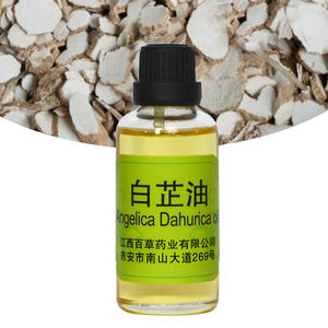 Aceite Esencial Puro de Ángelica, Fragancia Botánica Fresca, Recogida a Mano, Tradicional, Auténtica y de Alta Calidad - Product Image 2