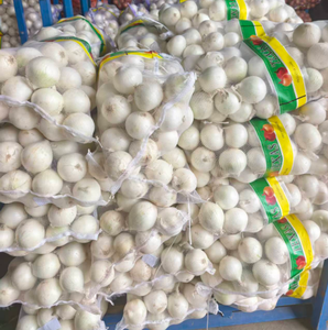 Chinesische Weiße Zwiebelzwiebeln Frisch 5-8cm 25kg Netzbeutel Afrika Lebensmittelgeschäft - Product Image 1