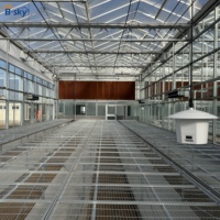 Structure de serre en verre multi-voûtes à grande échelle avec assemblage stable, faible coût, rendement élevé pour l'agriculture commerciale