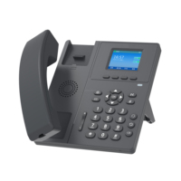 Teléfono de Escritorio VoIP Sachikoo S21 con Pantalla a Color de 2.4 Pulgadas, 2 Cuentas SIP, Identificador de Llamadas, IP POE, Windows