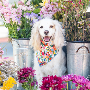 Bandana d'anniversaire pour <span class=keywords><strong>chien</strong></span> en coton de haute qualité, collier personnalisé avec logo, foulard pour animal de compagnie, motif dessin animé, design automnal, mouchoirs carrés en gros - Product Image 6