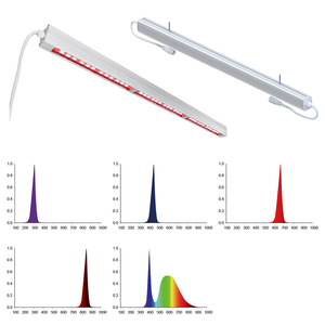 Tùy chỉnh 100W 150W 200W ngựa <span class=keywords><strong>LED</strong></span> trị liệu ánh sáng màu đỏ hồng ngoại 660nm 850nm solarium trị liệu động vật <span class=keywords><strong>LED</strong></span> ánh sáng 5 năm bảo hành - Product Image 3